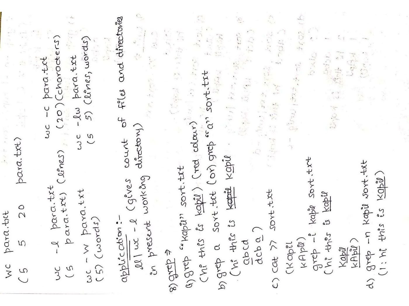 Handwritten notes on grep and sort with a worked example